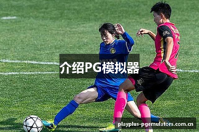 介绍PG模拟器